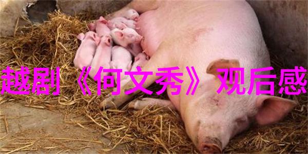 越剧樊家树与沈凤喜